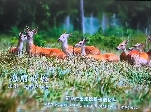 工程22